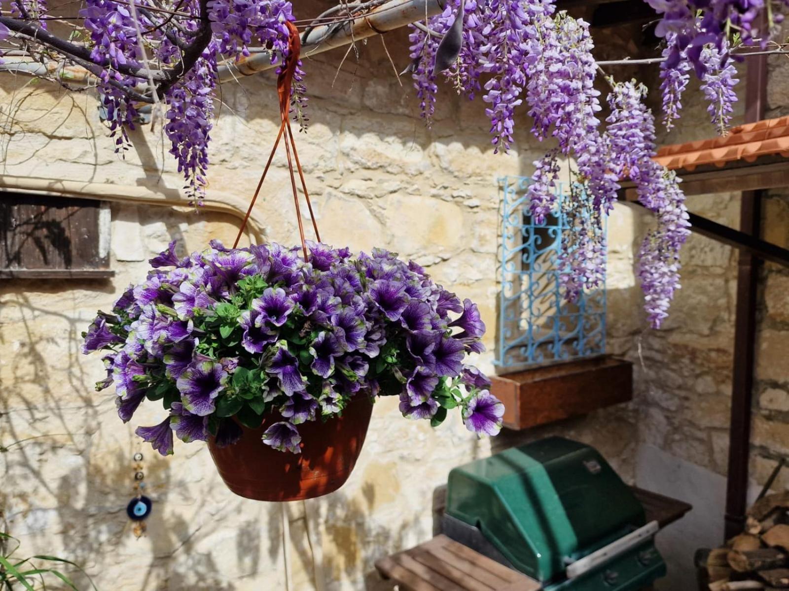 Kalimera A Lovely 1-Bedroom Rental With Ensuite And Kitchen Limassol Ngoại thất bức ảnh